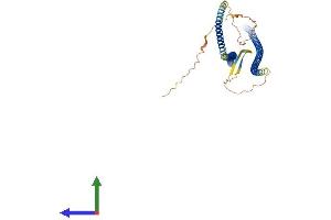 AlphaFold protein structure predicition of Mouse Recombinant Des Protein, UniprotID P31001 (Desmin Protein (DES) (AA 1-469) (His tag))