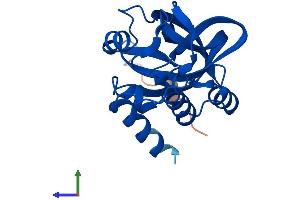 Protein Structure (PS) image for gamma-Glutamylcyclotransferase (GGCT) (AA 1-188) protein (His tag) (ABIN7561102)