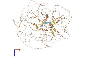 AlphaFold protein structure predicition of Human Recombinant SPATA31A5 Protein, UniprotID Q5VU36 (FAM75A5 Protein (AA 1-1347) (His tag))