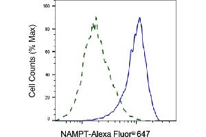 Validation of NAMPT knockdown using flow cytometry.