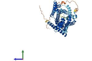 AlphaFold protein structure predicition of Human Recombinant SLC36A2 Protein, UniprotID Q495M3