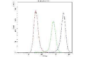 Flow Cytometry analysis of A549 cells using anti-Synaptotagmin 1 antibody (ABIN5692948). (SYT1 antibody)