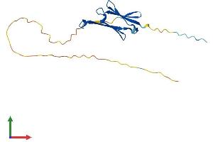 AlphaFold protein structure predicition of Human Recombinant HSPB7 Protein, UniprotID Q9UBY9