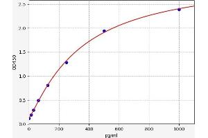 Typical standard curve (KLHL17 ELISA Kit)