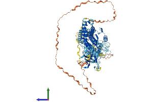 AlphaFold protein structure predicition of Mouse Recombinant Dnm2 Protein, UniprotID P39054 (DNM2 Protein (AA 1-870) (His tag))