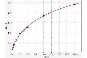 SIRT7 ELISA Kit