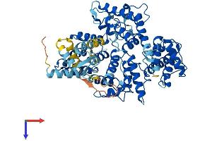 PLS1 Protein (AA 1-629) (His tag)