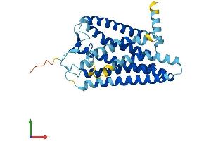 AlphaFold protein structure predicition of Human Recombinant OR5P3 Protein, UniprotID Q8WZ94