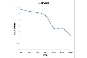 Antigen: 2 µg/100 µL  Primary: Antiserum, 1:500, 1:1000, 1:2000, 1:4000, 1:8000, 1:16000, 1:32000;  Secondary: HRP conjugated Rabbit Anti-Goat IgG at 1: 5000;  TMB staining Read the data in Microplate Reader by 450nm. (SUMO1 antibody  (AA 98-158))