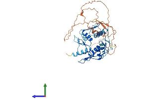 AlphaFold protein structure predicition of Human Recombinant ZNF134 Protein, UniprotID P52741 (ZNF134 Protein (AA 1-427) (His tag))