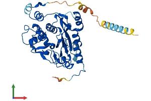 AlphaFold protein structure predicition of Mouse Recombinant B3gnt4 Protein, UniprotID Q1RLK6 (B3GNT4 Protein (AA 1-350) (His tag))