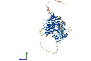 Protein Structure (PS) image for Transcription Factor CP2-Like 1 (TFCP2L1) (AA 1-479) protein (His tag) (ABIN7544430)
