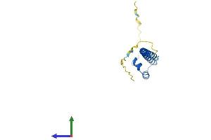 AlphaFold protein structure predicition of Human Recombinant MAFK Protein, UniprotID O60675 (MAFK Protein (AA 1-156) (His tag))