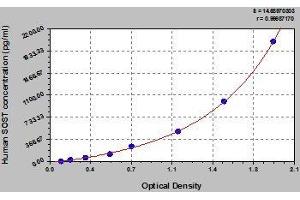 Typical standard curve (Sclerostin ELISA Kit)