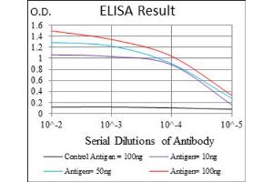 Red: Control Antigen (100ng) ; Purple: Antigen (10ng) ; Green: Antigen (50ng) ; Blue: Antigen (100ng). (ACP5 antibody  (AA 221-325))