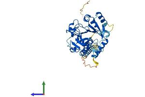 AlphaFold protein structure predicition of Mouse Recombinant St6galnac6 Protein, UniprotID Q9JM95 (ST6GALNAC6 Protein (AA 1-333) (His tag))