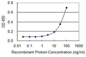 Detection limit for recombinant GST tagged ACRC is 1 ng/ml as a capture antibody. (ACRC antibody  (AA 592-691))