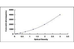 ELISA image for Coagulation Factor III (thromboplastin, Tissue Factor) (F3) ELISA Kit (ABIN431343)
