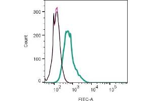 Cell surface detection of GABRA3 by indirect flow cytometry in live intact mouse  microglia cell line: + goat-anti-rabbit-FITC.