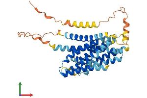 AlphaFold protein structure predicition of Human Recombinant SLC39A13 Protein, UniprotID Q96H72