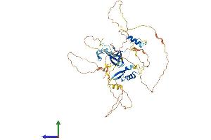 AlphaFold protein structure predicition of Human Recombinant ZNF395 Protein, UniprotID Q9H8N7 (ZNF395 Protein (AA 1-513) (His tag))