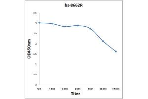 Antigen: 0. (BASP1 antibody  (AA 3-100))