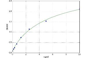 Deiodinase, Iodothyronine, Type III (DIO3) ELISA Kit