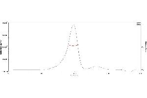 The purity of Biotinylated 2019-nCoV (COVID-19) S1 protein, His,Avitag (MALS verified) ( ABIN6952457) was more than 90% in HP-SEC, and around 120-140 kDa verified by SEC-MALS. (SARS-CoV-2 Spike S1 Protein (His tag,AVI tag,Biotin))