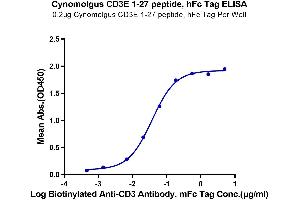 Immobilized Cynomolgus CD3E 1-27, His Tag at 2 μg/mL (100 μL/Well) on the plate. (CD3 epsilon Protein (CD3E) (AA 22-48) (Fc-Avi Tag))