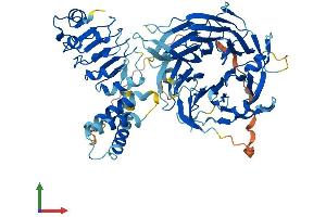 AlphaFold protein structure predicition of Mouse Recombinant LRWD1 Protein, UniprotID Q8BUI3 (LRWD1 Protein (AA 1-648) (His tag))