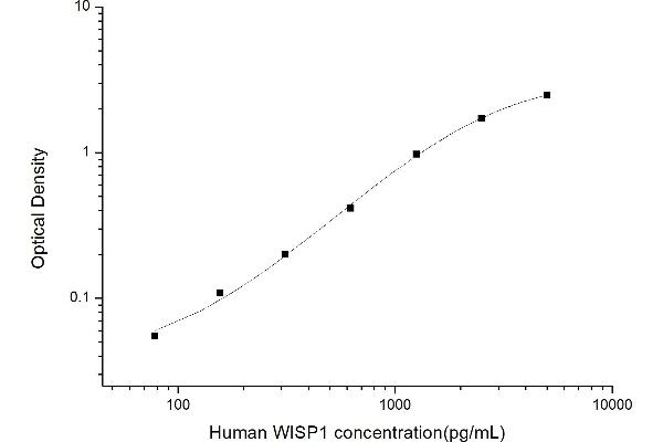 WISP1 ELISA Kit