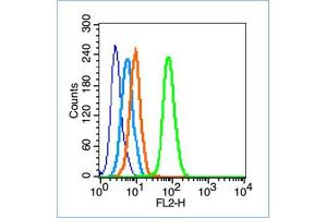 HepG2 cells were fixed with 70% ice-cold methanol overnight at 4℃, permeabilized with 90% ice-cold methanol for 20 min at -20℃, and incubated in 5% BSA blocking buffer for 30 min at room temperature. (FAK antibody  (pTyr407))