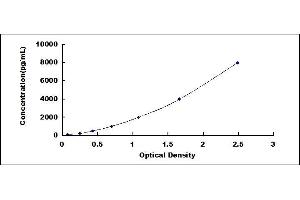TNFSF8 ELISA Kit