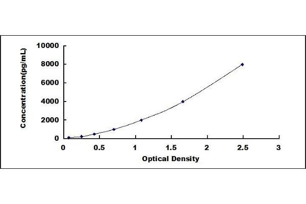 TNFSF8 ELISA Kit