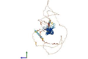AlphaFold protein structure predicition of Mouse Recombinant Jph2 Protein, UniprotID Q9ET78 (Junctophilin 2 Protein (JPH2) (AA 1-696) (His tag))