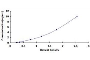 PDHB ELISA Kit