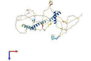 Keratinocyte Differentiation Factor 1 (KDF1) (AA 1-398) protein (His tag)