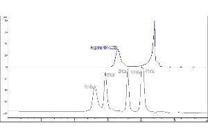 The purity of Cynomolgus CD32a, His Tag (SPR & BLI & HPLC verified) (ABIN6938935,ABIN6950983,ABIN6950984) was greater than 90 % as determined by . (FCGR2A Protein (AA 28-208) (His tag))