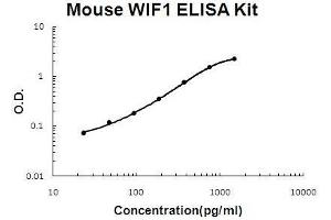 Mouse WIF1 PicoKine ELISA Kit standard curve