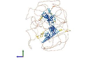 AlphaFold protein structure predicition of Human Recombinant ARID4A Protein, UniprotID P29374 (ARID4A Protein (AA 1-1257) (His tag))