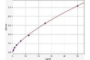 Typical standard curve (OTX2 ELISA Kit)