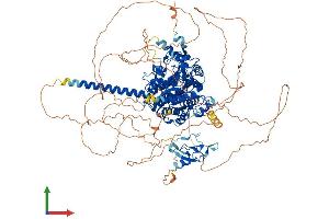 Protein Structure (PS) image for Myotubularin Related Protein 3 (MTMR3) (AA 1-1198) protein (His tag) (ABIN7554619)
