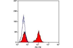 Staining of human peripheral blood lymphocytes with RAT ANTI HUMAN CD28:RPE (ABIN118584). (CD28 antibody  (PE))