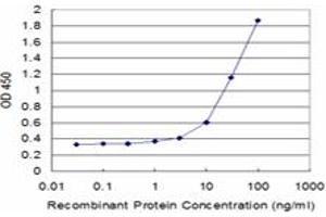Detection limit for recombinant GST tagged SORL1 is approximately 3ng/ml as a capture antibody. (SORL1 antibody  (AA 82-181))
