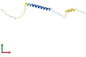 AlphaFold protein structure predicition of Human Recombinant SMAGP Protein, UniprotID Q0VAQ4