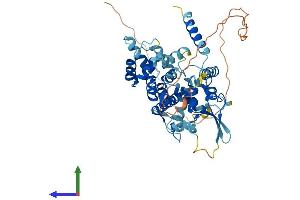 AlphaFold protein structure predicition of Mouse Recombinant Micu1 Protein, UniprotID Q8VCX5 (MICU1 Protein (AA 1-477) (His tag))