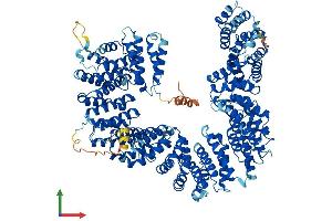 AlphaFold protein structure predicition of Human Recombinant TBCD Protein, UniprotID Q9BTW9 (TBCD Protein (AA 1-1192) (His tag))