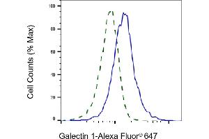 Validation of Galectin 1 knockdown using flow cytometry. (Recombinant LGALS1/Galectin 1 antibody)