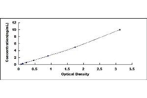 Typical standard curve (FAM3D ELISA Kit)