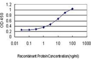 ELISA image for anti-Forkhead Box C2 (MFH-1, Mesenchyme Forkhead 1) (FOXC2) (AA 421-501) antibody (ABIN560913)